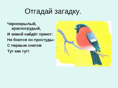 Отгадай загадку. Чернокрылый, красногрудый, И зимой найдёт приют: Не боится о...