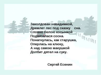 Заколдован невидимкой, Дремлет лес под сказку сна. Словно белою косынкой Подв...