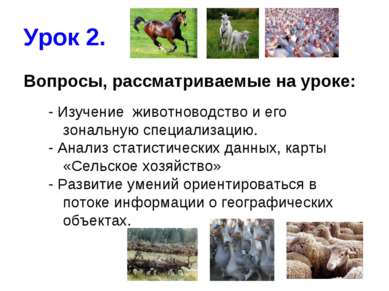 Урок 2. Вопросы, рассматриваемые на уроке: - Изучение животноводство и его зо...