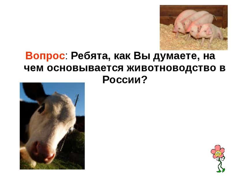 Вопрос: Ребята, как Вы думаете, на чем основывается животноводство в России?