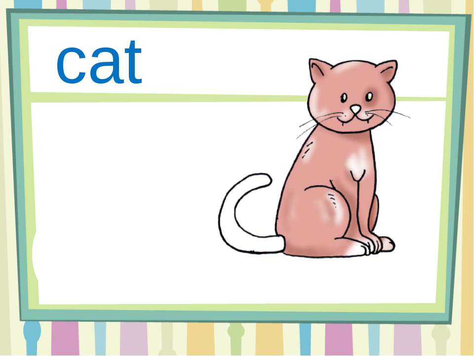 Кот с английского на русский. Кот карточка по английскому. Карточка кот для английского языка. Английская кошка. Карточка английский язык a Cat.