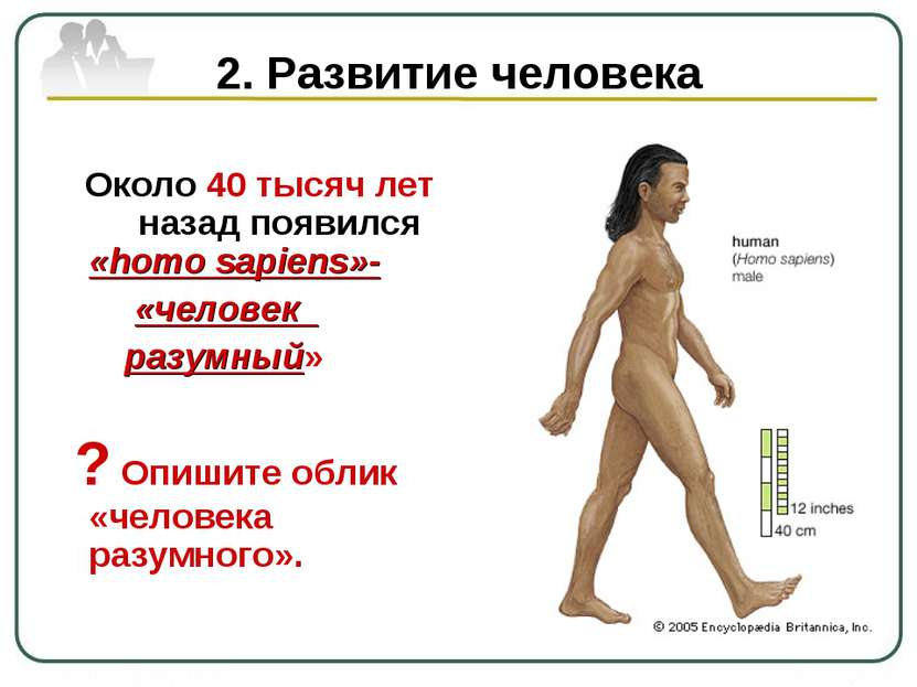 2. Развитие человека Около 40 тысяч лет назад появился «homo sapiens»- «челов...
