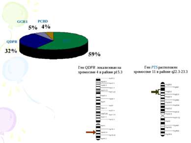 Ген QDPR локализован на хромосоме 4 в районе p15.3 Ген PTS расположен хромосо...