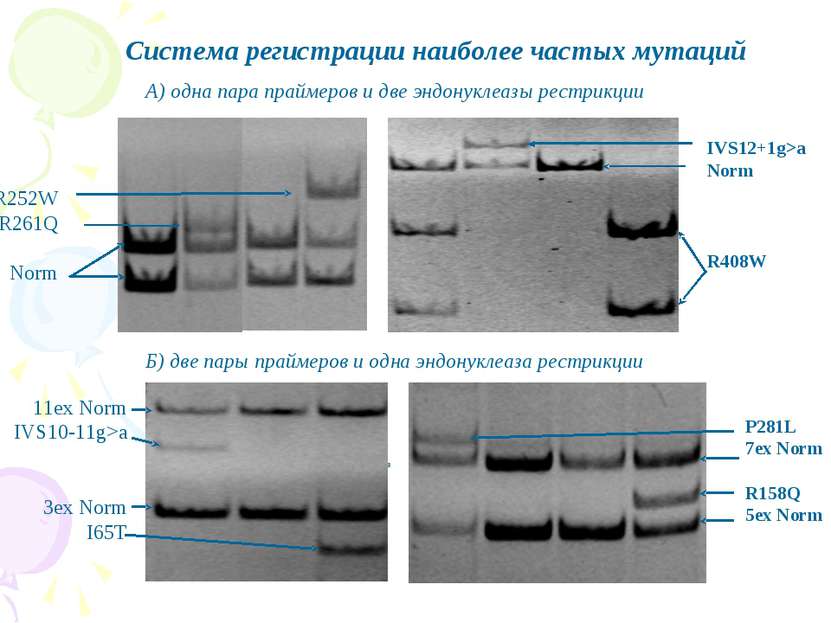 Система регистрации наиболее частых мутаций А) одна пара праймеров и две эндо...