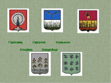 Гороховец Серпухов Камышин Епифань Богородицк