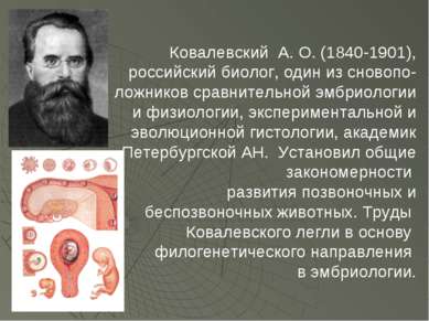 Ковалевский А. О. (1840-1901), российский биолог, один из сновопо- ложников с...