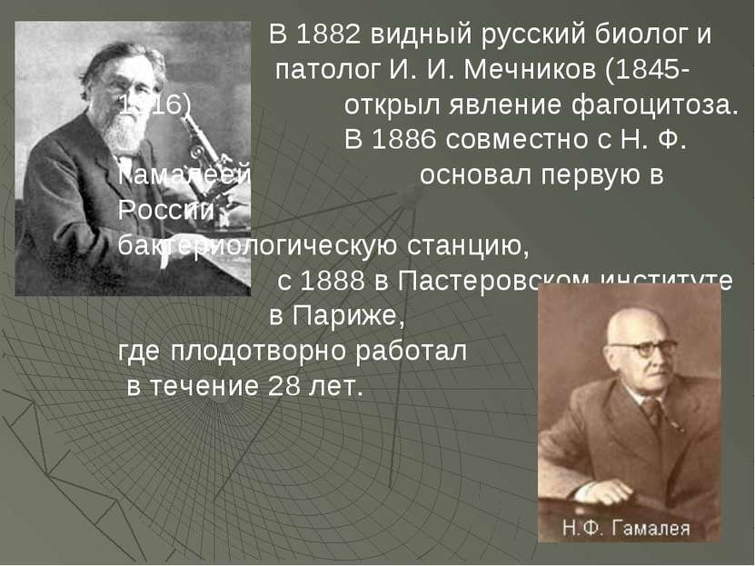 В 1882 видный русский биолог и патолог И. И. Мечников (1845-1916) открыл явле...