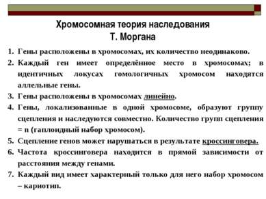 Хромосомная теория наследования Т. Моргана Гены расположены в хромосомах, их ...