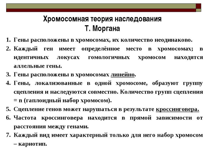 Закон моргана биология презентация