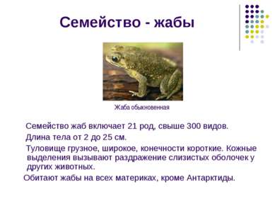 Семейство - жабы Семейство жаб включает 21 род, свыше 300 видов. Длина тела о...