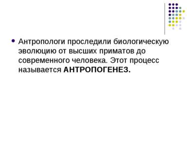 Антропологи проследили биологическую эволюцию от высших приматов до современн...