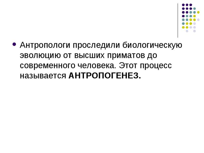 Антропологи проследили биологическую эволюцию от высших приматов до современн...