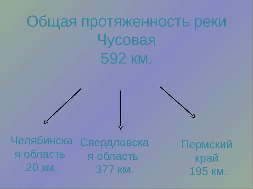 Общая протяженность реки Чусовая 592 км. Челябинская область 20 км. Свердловс...