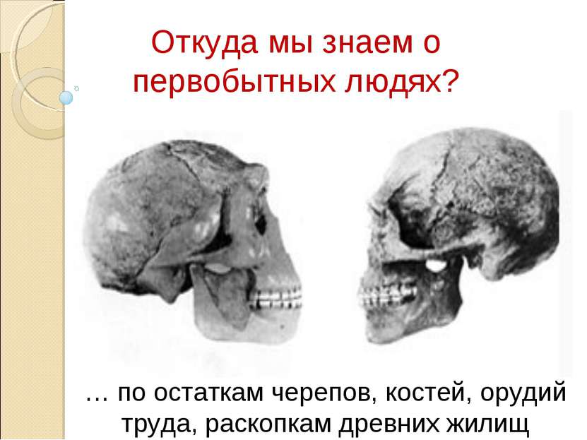 Откуда мы знаем о первобытных людях? … по остаткам черепов, костей, орудий тр...