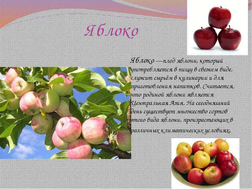 Яблоко  Яблоко —плод яблони, который употребляется в пищу в свежем виде, служ...