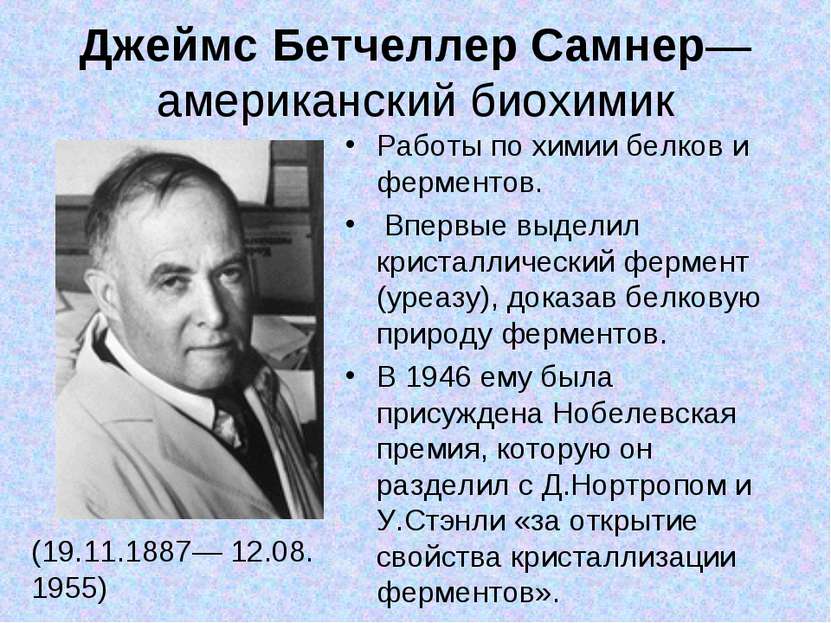 Джеймс Бетчеллер Самнер— американский биохимик (19.11.1887— 12.08. 1955) Рабо...