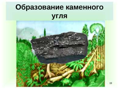 * Образование каменного угля