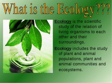 Ecology is the scientific study of the relation of living organisms to each o...