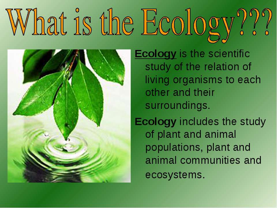  Ecological Problems 