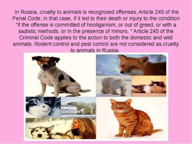 In Russia, cruelty to animals is recognized offenses, Article 245 of the Pena...