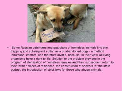 Some Russian defenders and guardians of homeless animals find that trapping a...