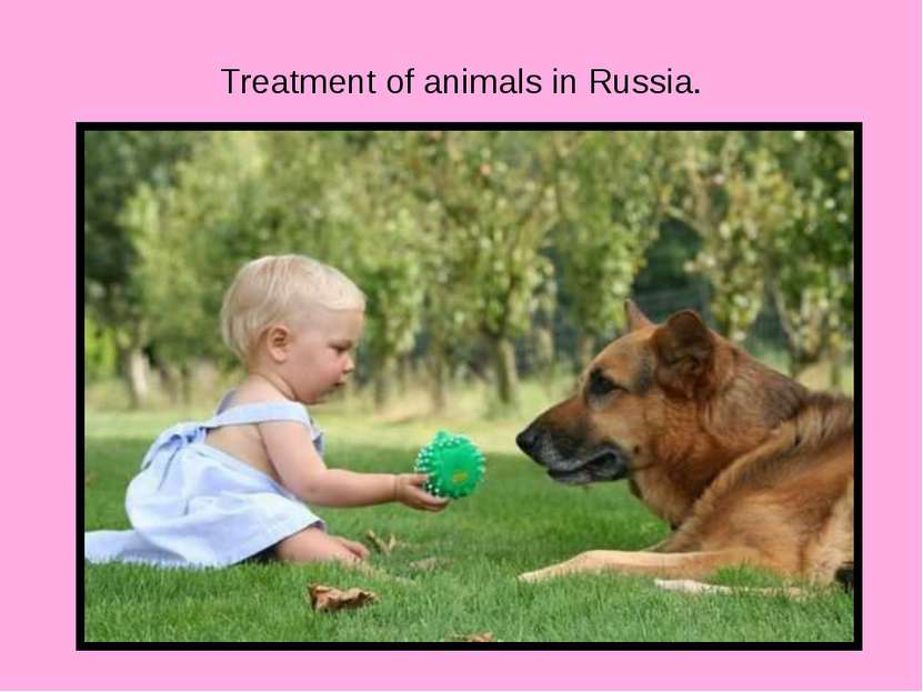 Treatment of animals in Russia.