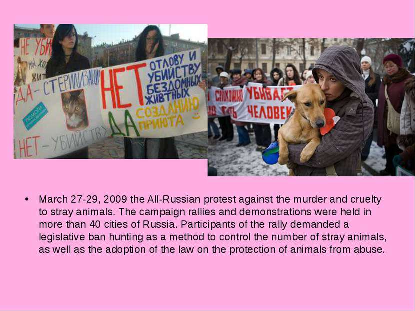 March 27-29, 2009 the All-Russian protest against the murder and cruelty to s...