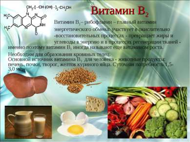 Витамин В2 Витамин В2– рибофлавин – главный витамин энергетического обмена: у...