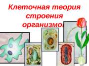 Клеточная теория строения организмов