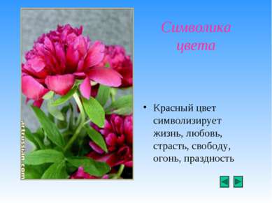 Символика цвета Красный цвет символизирует жизнь, любовь, страсть, свободу, о...