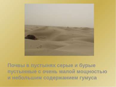 Почвы в пустынях серые и бурые пустынные с очень малой мощностью и небольшим ...