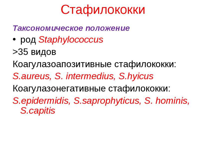 Стафилококки Таксономическое положение род Staphylococcus >35 видов Коагулазо...