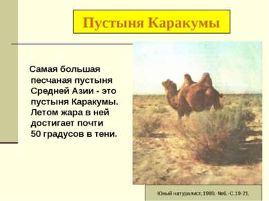 Пустыня Каракумы Самая большая песчаная пустыня Средней Азии - это пустыня Ка...