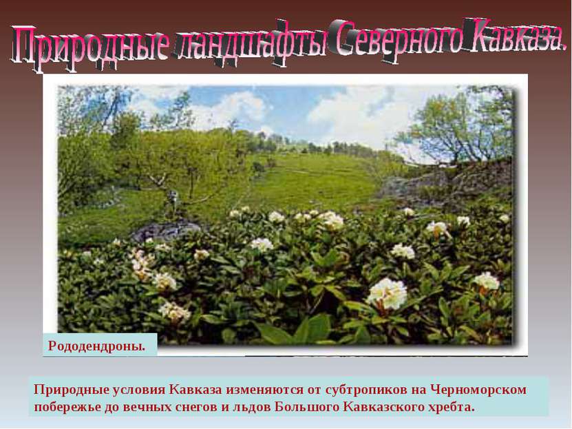 Вид на Эльбрус Поляна перед перевалом Кват. Природные условия Кавказа изменяю...