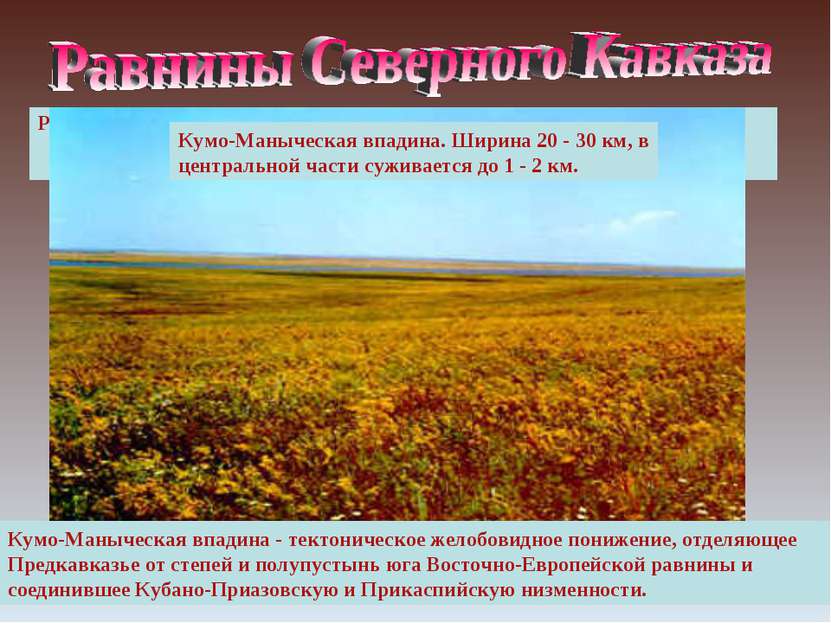 Равнинная (степная) зона Северного Кавказа занимает большую часть территории ...