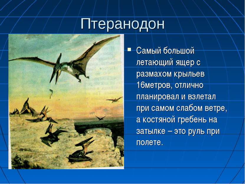 Птеранодон Самый большой летающий ящер с размахом крыльев 16метров, отлично п...