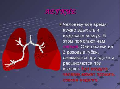 ЛЕГКИЕ Человеку все время нужно вдыхать и выдыхать воздух. В этом помогают на...