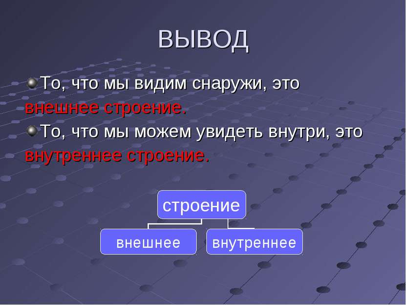 ВЫВОД То, что мы видим снаружи, это внешнее строение. То, что мы можем увидет...