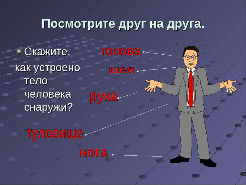 Посмотрите друг на друга. Скажите, как устроено тело человека снаружи?