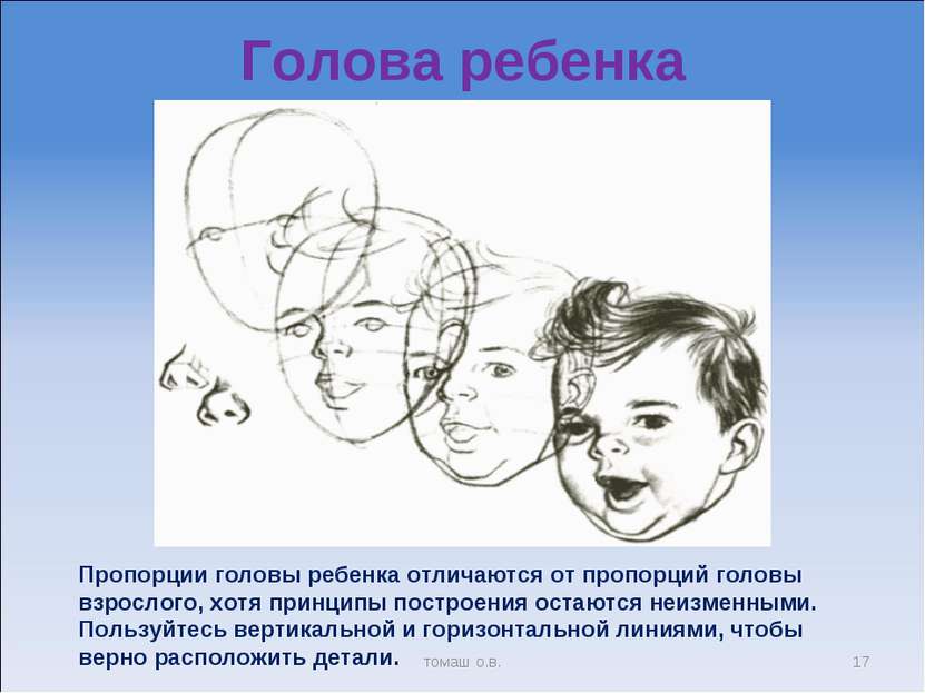 Голова ребенка Пропорции головы ребенка отличаются от пропорций головы взросл...