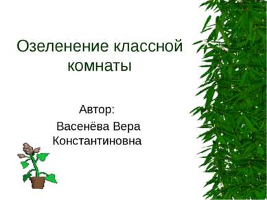 Озеленение классной комнаты Автор: Васенёва Вера Константиновна