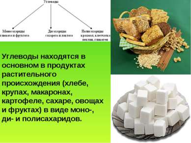 Углеводы находятся в основном в продуктах растительного происхождения (хлебе,...