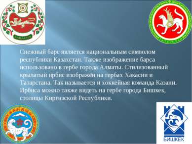 Снежный барс является национальным символом республики Казахстан. Также изобр...