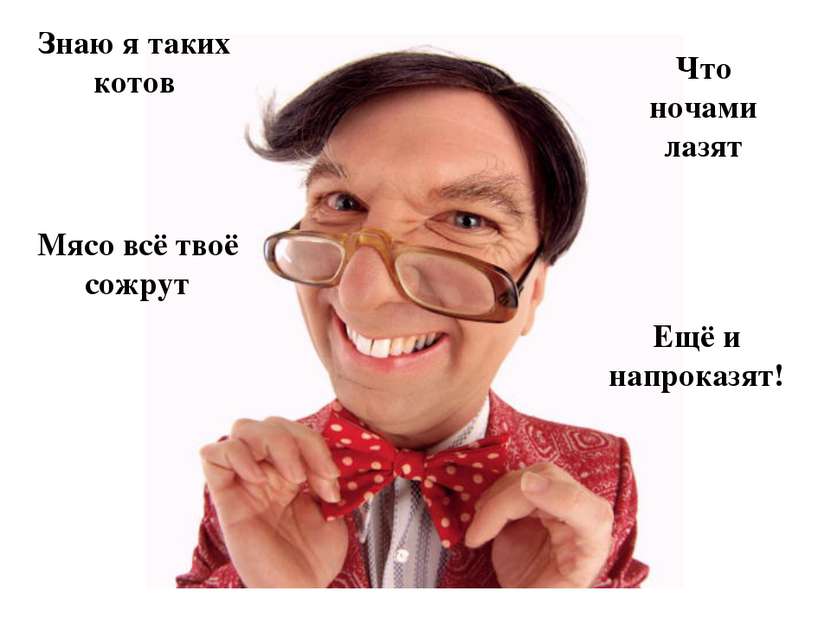 Знаю я таких котов Что ночами лазят Мясо всё твоё сожрут Ещё и напроказят!