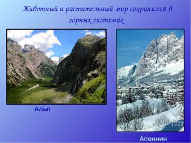 Животный и растительный мир сохранился в горных системах Альп Апеннин