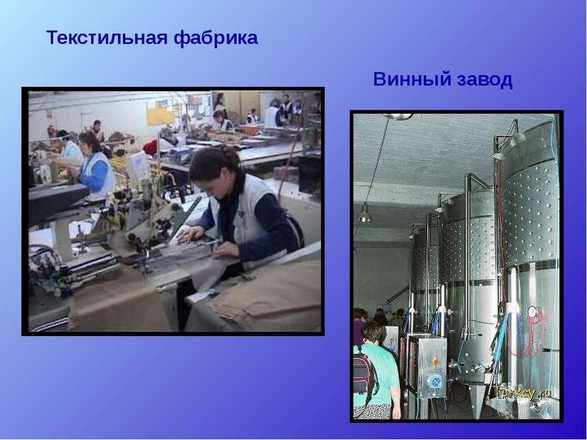 Винный завод Текстильная фабрика