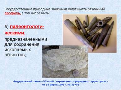 в) палеонтологи- ческими, предназначенными для сохранения ископаемых объектов...