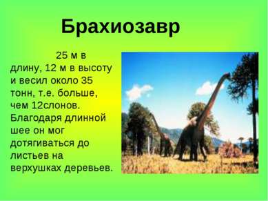 Брахиозавр 25 м в длину, 12 м в высоту и весил около 35 тонн, т.е. больше, че...