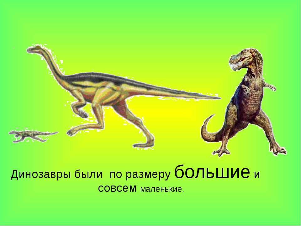 Как назывались маленькие динозавры. Конспект к уроку когда жили динозавры. Динозавры жившие на территории России. Когда жили динозавры 1 класс задания. Когда жили динозавры 1 класс окружающий мир школа России презентация.
