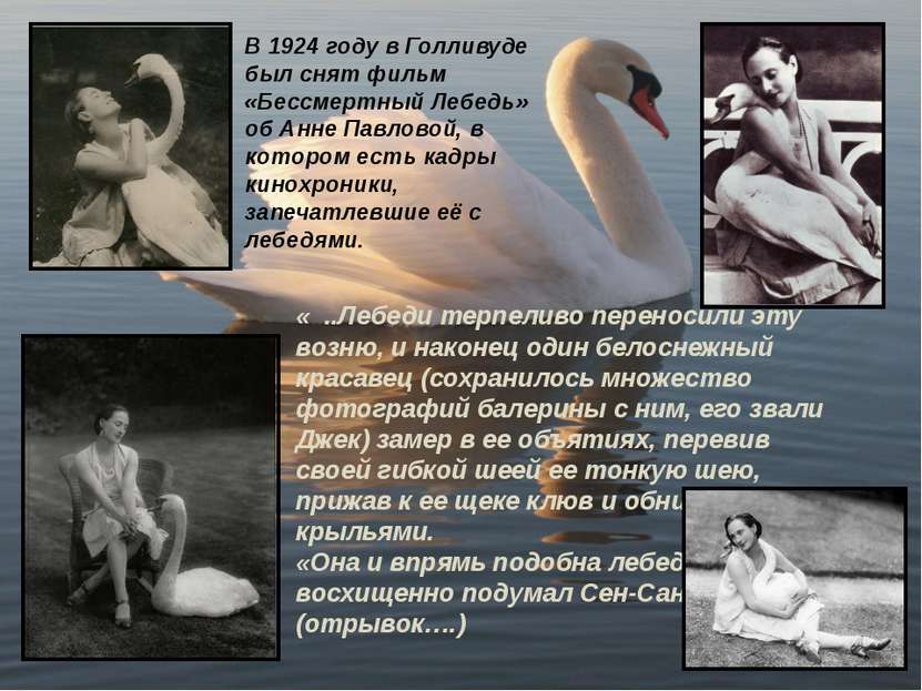 В 1924 году в Голливуде был снят фильм «Бессмертный Лебедь» об Анне Павловой,...